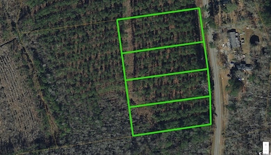 Aerial View of property