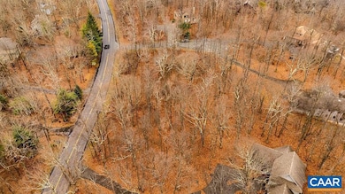 559 Laurel Springs Dr unit PRYOR CAMP II 24, Roseland, VA 22967 - photo 7