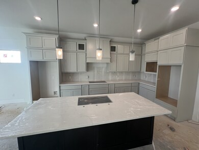 648 Cross Timbers Trace, Waller, TX 77484 - photo 7