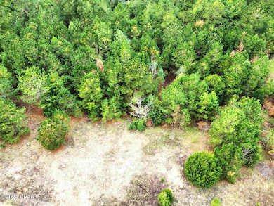 xxx Freeman Rd, Bristol, FL 32321 - photo 3