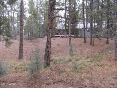1241N42Drive (6)