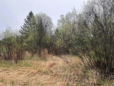 View of nature