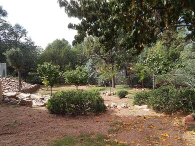 Backyard 3