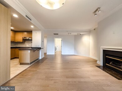 The Ritz-Carlton Residences, Baltimore, MD 21230 - photo 5