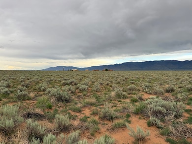 NA Tortuga Lot #18 Loop, Belen, NM 87002 - photo 2