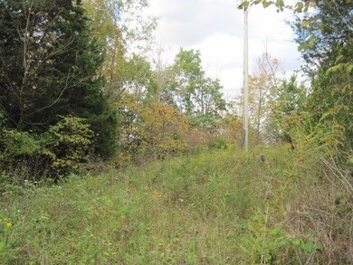 5125 Bohon Rd, Harrodsburg, KY 40330 - photo 6