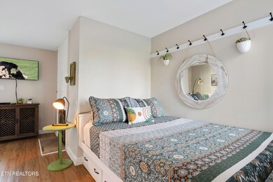 1260 Ski View Dr unit 4204, Gatlinburg, TN 37738 - photo 3