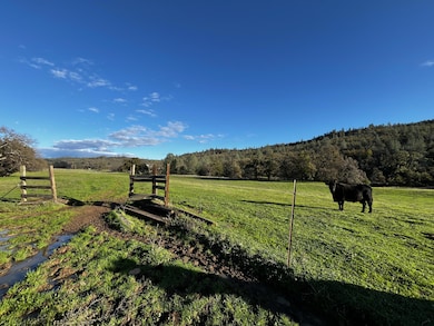 0000 Whitmore Rd, Whitmore, CA 96096 - photo 5