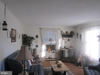 420 Camp Hill Rd, Berkeley Springs, WV 25411 - photo 3