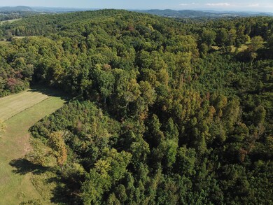 0 New Corinth Rd unit 1132033, Blaine, TN 37709 - photo 2