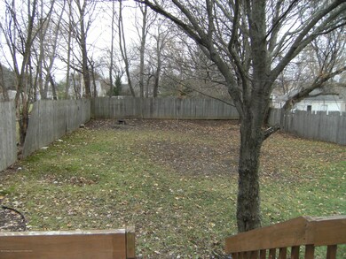 Back yard