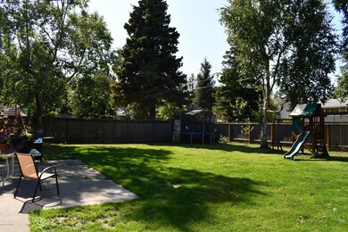 backyard1