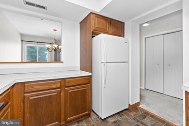 204 Michelle Ct unit 100, Newark, DE 19711 - photo 5