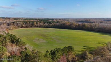 dji_fly_20241126_082644_0183_17326583116