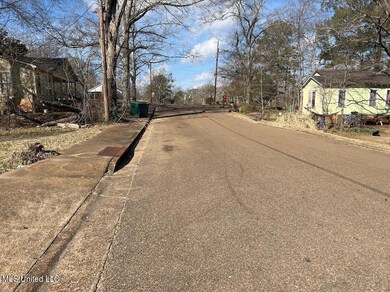 Street View to the Right of the Property