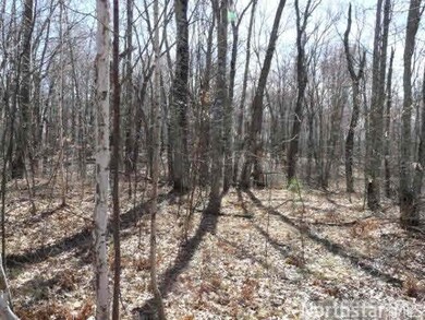 0 Lot 8 Moser Dr unit 4597966, Webster, WI 54893 - photo 7