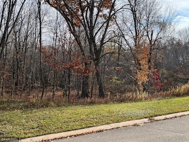 LOT 18 Wilderness Hills Ln, Luck, WI 54853 - photo 2