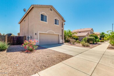 02-Cocopah