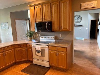 305 Sherman St, Dysart, IA 52224 - photo 7