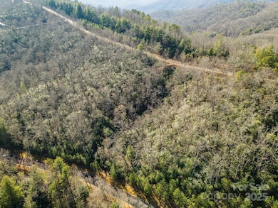 99999 Mills River Way unit 108, Mills River, NC 28742 - photo 7