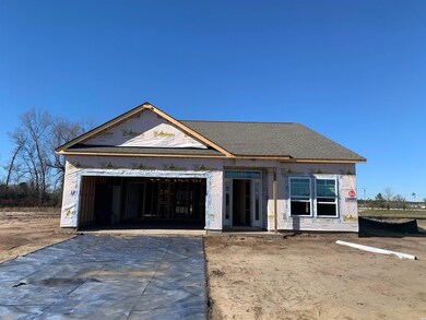 464 Honeyhill Loop unit Lot 48 Model Talbot, Conway, SC 29526 - photo 3