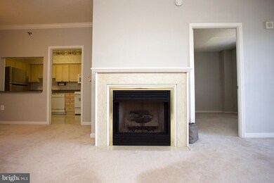 3005 Leisure World Blvd S unit 806, Silver Spring, MD 20906 - photo 5