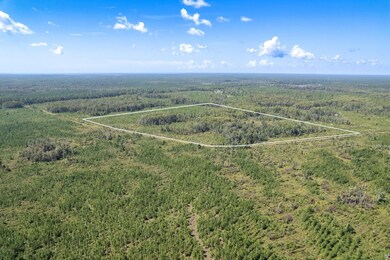 Lot 22 Growing Timbers Rd, Crawfordville, FL 32327 - photo 5