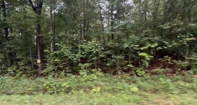 0 Pond Branch Rd unit Lot 4 (6.52 acres), Buena Vista, TN 38318 - photo 3