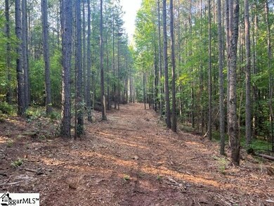 0 Manus Chapel Rd unit 1504435, Mill Spring, NC 28756 - photo 5