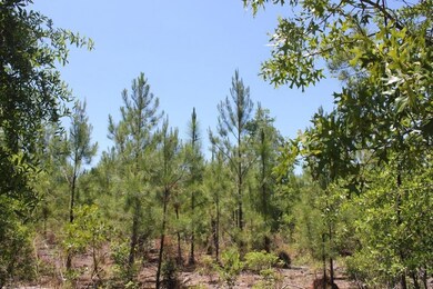listing777585photo6