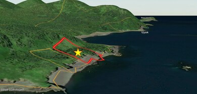 L5 Uyak Bay, Larsen Bay, AK 99624 - photo 3