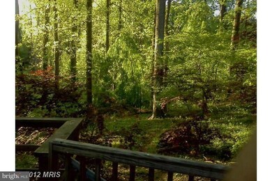 6362 Lakewood Dr, Falls Church, VA 22041 - photo 2