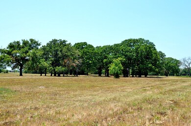 View of local wilderness