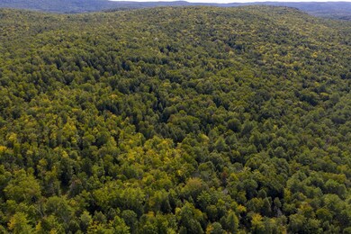 0 Parker Rd unit 202028988, Hadley, NY 12835 - photo 7