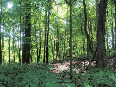 0 Revenge Rd SW, Lancaster, OH 43130 - photo 6