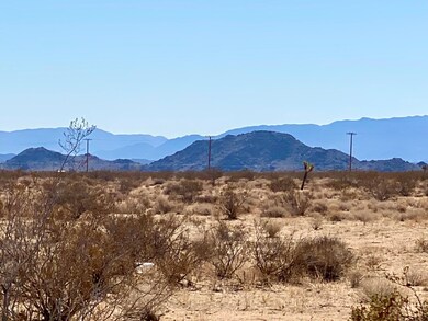 132 Mars Dr, Joshua Tree, CA 92252 - photo 3