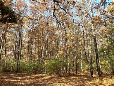 VL 0 Burroughs Wooded Parcel