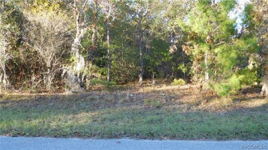 1315 E Hobart Ln, Hernando, FL 34442 - photo 3