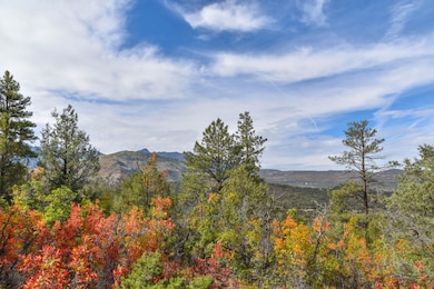 0 County Road 7a, Ridgway, CO 81432 - photo 4
