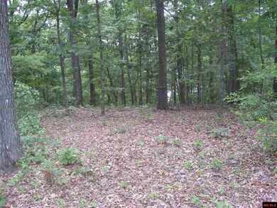0 Diamond Bay Rd, Union Township, AR 72531 - photo 3