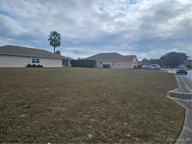 3756 E Kiwi Cove Ct, Hernando, FL 34441 - photo 3