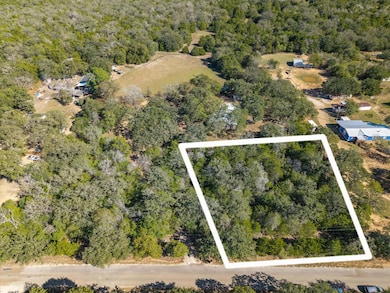 Lot 90773 Milam Ln, Bastrop, TX 78602 - photo 3