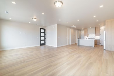 Kitchen and Living Space