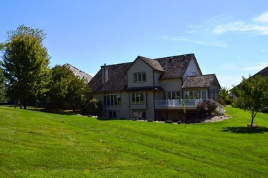 Lush Backyard