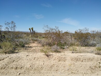 IMG_20200328_114853053