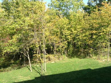 Wooded Ravine Lot
