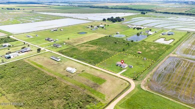 193 Mulberry Ln, Iota, LA 70543 - photo 3