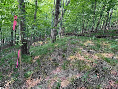 Lot #3 E Bellinger Rd, Cedar, MI 49621 - photo 7