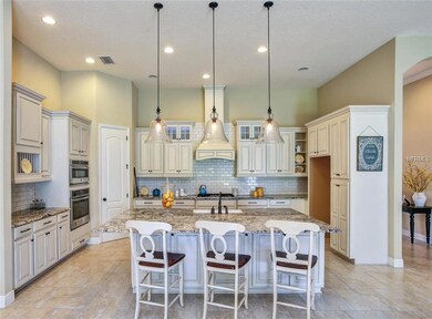 15505 Mossy Ridge Ln, Lithia, FL 33547 - photo 4