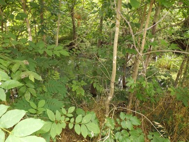 9515 Bethel Rd, Prospect, TN 38477 - photo 7